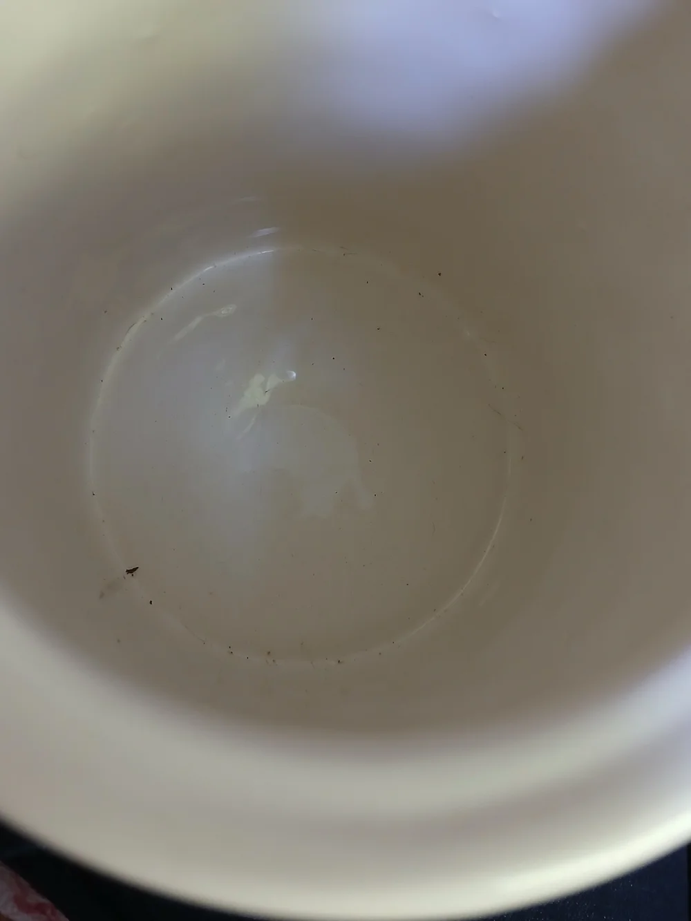 Pier 1 Cream Ceramic 